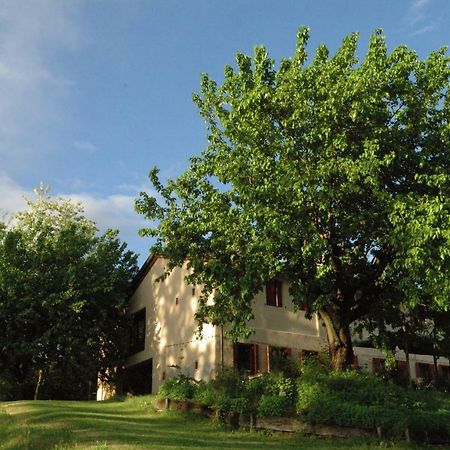 Ca Borgh Villa Santa Maria di Feletto Exteriör bild
